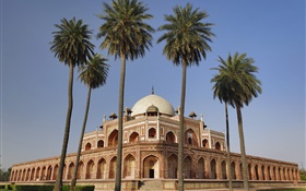Castle, palm trees