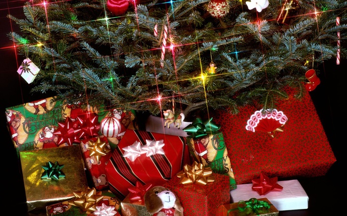 Christmas gifts, lights, pine twigs Wallpapers Pictures Photos Images