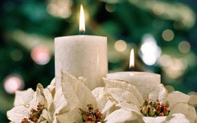 Christmas theme, white candles HD wallpaper