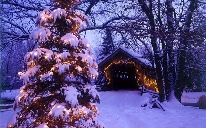 Christmas tree, snow, house, trees Wallpapers Pictures Photos Images