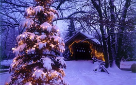 Christmas tree, snow, house, trees HD wallpaper