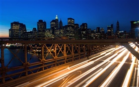 City night, bridge, traffic lights, buildings