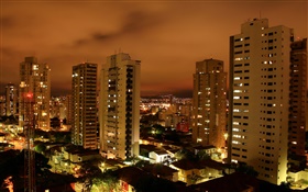 City night, skyscrapers, lights