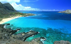 Coast, blue sea and sky, Hawaii, USA HD wallpaper