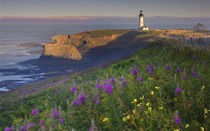 Coast, lighthouse, morning Wallpapers Pictures Photos Images