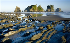 Coast, rocks, water, dusk