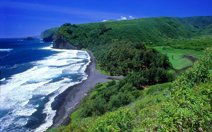 Coast, sea, beach, Hawaii, USA Wallpapers Pictures Photos Images