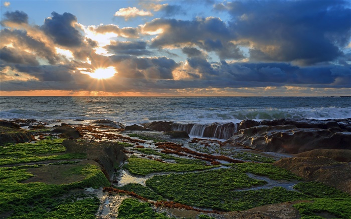 Coast, stones, sunset, clouds, Pacific ocean Wallpapers Pictures Photos Images
