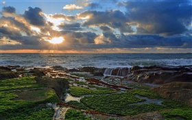 Coast, stones, sunset, clouds, Pacific ocean