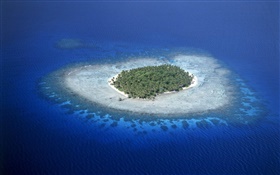 Coral Reefs, Micronesia, sea, island HD wallpaper