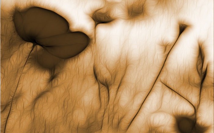 Creative design, abstract shapes Wallpapers Pictures Photos Images