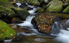Creek, stones, red leaves, autumn HD wallpaper