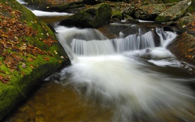 Creek, stream, rocks, autumn HD wallpaper
