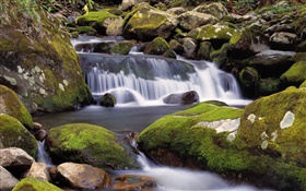 Creek, waterfalls, stones, moss, nature scenery HD wallpaper