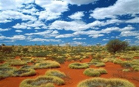 Desert, grass, clouds, Australia
