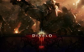 Diablo III, Blizzard game HD wallpaper