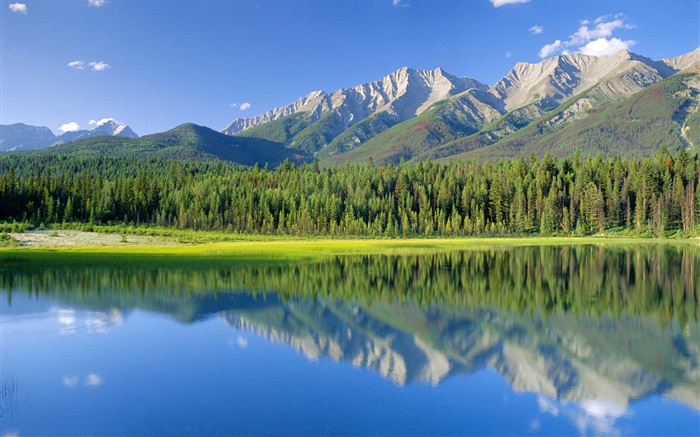 Dog Lake, mountains, forest, Kootenay National Park, British Columbia, Canada Wallpapers Pictures Photos Images