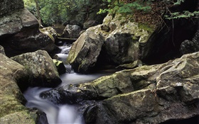 Dog Slaughter Creek, Cumberland Falls State Resort Park, Kentucky, USA HD wallpaper