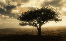 Dusk, tree, clouds, ground HD wallpaper