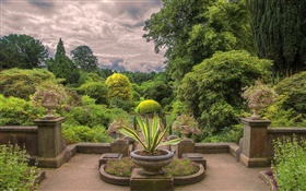 England, park, flowers, bushes HD wallpaper