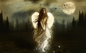 Fantasy angel girl, white wings, night, moon, birds