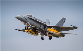 Fighter takeoff, sky HD wallpaper