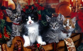 Four kittens, Christmas HD wallpaper