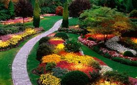 Garden flowers, colorful, spring HD wallpaper