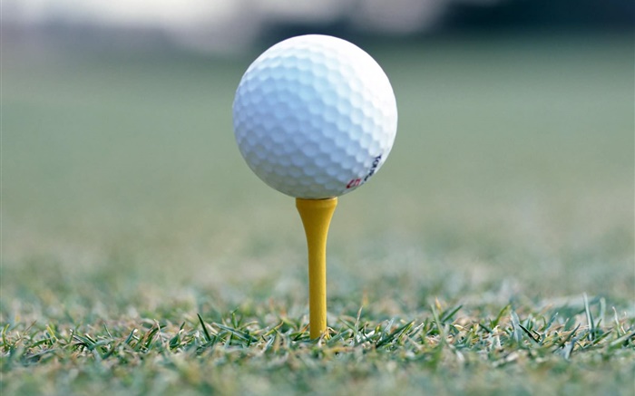 Golf ball close-up Wallpapers Pictures Photos Images