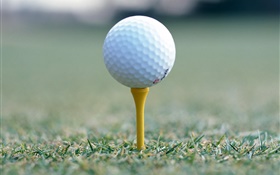Golf ball close-up HD wallpaper