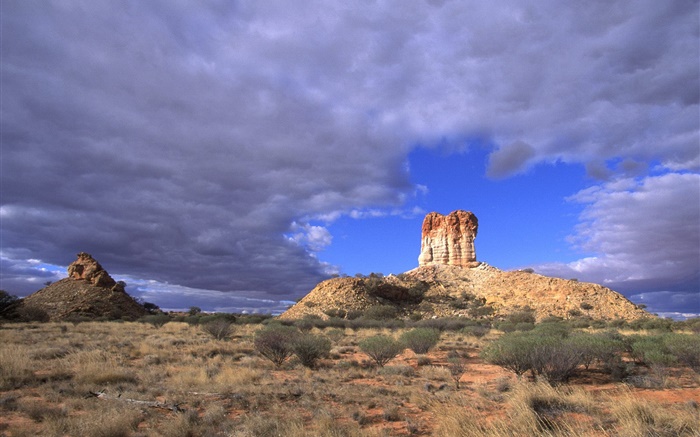 Grass, plants, desert, clouds, Australia Wallpapers Pictures Photos Images