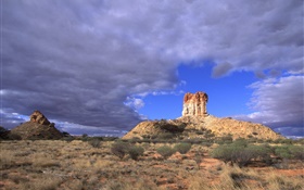 Grass, plants, desert, clouds, Australia HD wallpaper