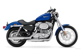 Harley-Davidson 883 motorcycle, blue and black