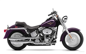 Harley-Davidson motorcycle, Fatboy