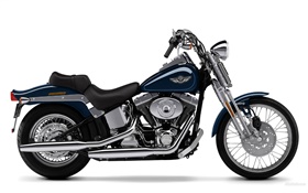 Harley-Davidson motorcycle, Springer Softail