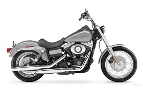 Harley-Davidson motorcycle, black and gray
