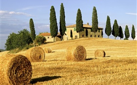 Haystacks, fields, houses, trees, Italy HD wallpaper