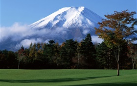 Japan's Mount Fuji, snow, trees, grass, fog