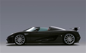 Koenigsegg CCXR supercar side view HD wallpaper