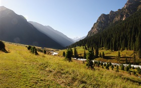 Kyrgyzstan, forest, trees, mountains, morning, grass, river HD wallpaper