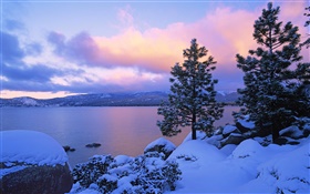 Lake Tahoe, winter, snow, trees, dusk, USA HD wallpaper