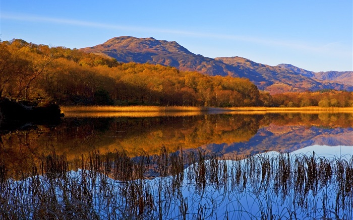 Lake, grass, trees, mountains, autumn Wallpapers Pictures Photos Images