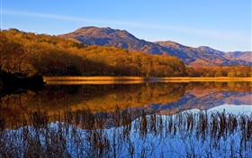 Lake, grass, trees, mountains, autumn HD wallpaper
