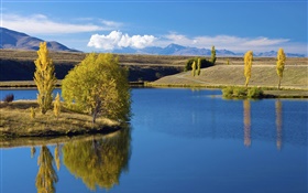 Lake, trees, clouds, summer