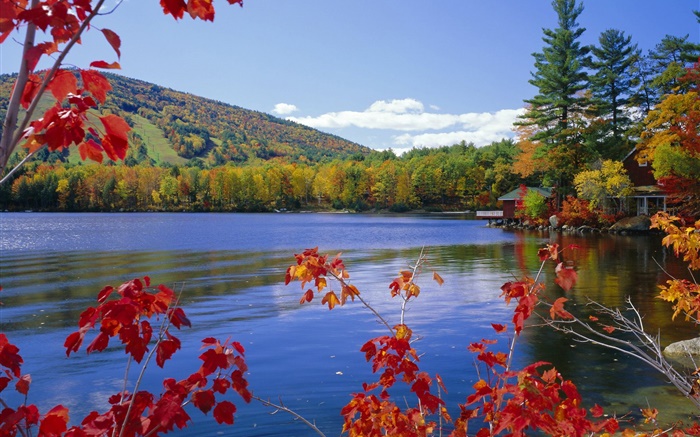Lake, trees, house, autumn Wallpapers Pictures Photos Images