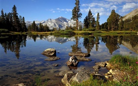 Lake, trees, water reflection, mountains, clouds HD wallpaper