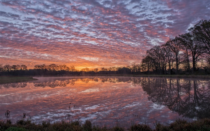 Louisiana USA, river, shore, water reflection, trees, clouds, sunset Wallpapers Pictures Photos Images