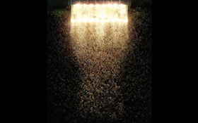 Many people, music concerts, light, creative pictures