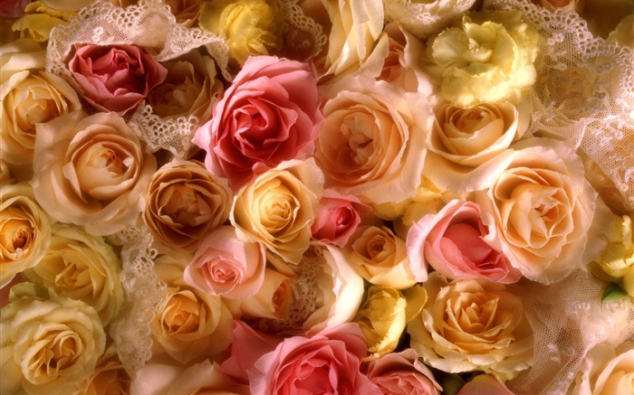 Many rose flowers, yellow and pink Wallpapers Pictures Photos Images