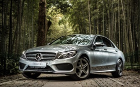 Mercedes-Benz C-Class W205 silver car